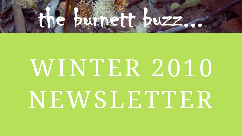 the burnett buzz… Winter 2010