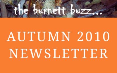 the burnett buzz… Autumn 2010