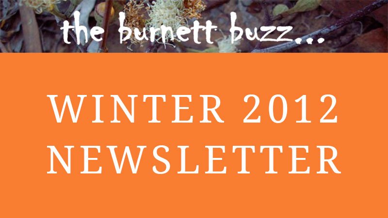 the burnett buzz… Winter 2012