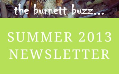 the burnett buzz… Summer 2013