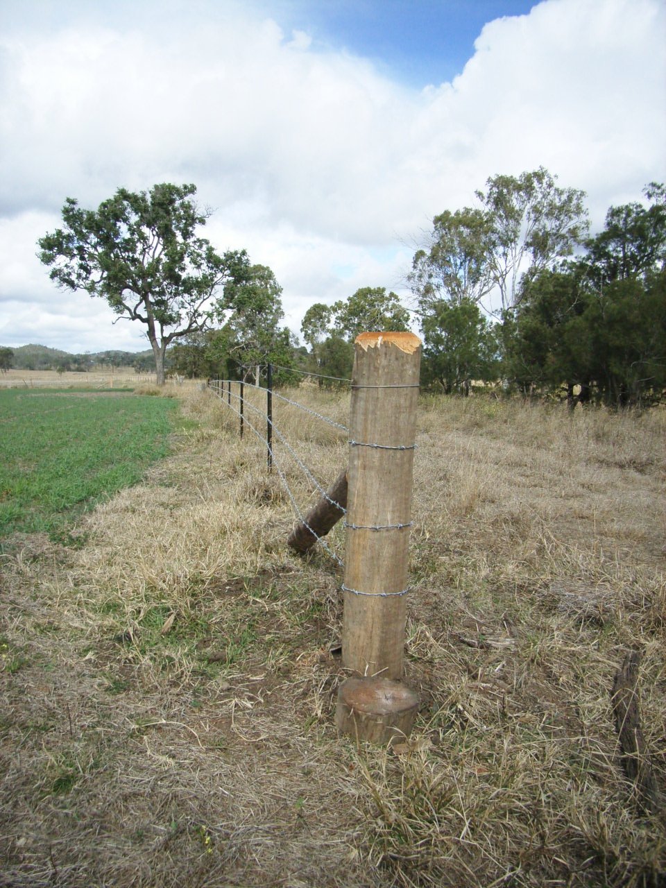 Bank stabilisation soft enginerring works in preparation for revegetation