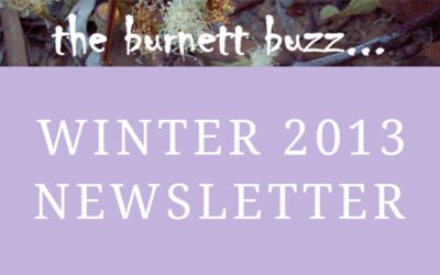 the burnett buzz… Winter 2013