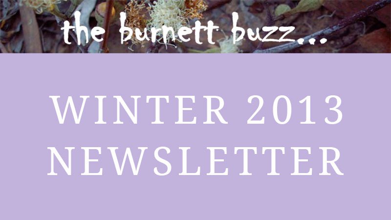 the burnett buzz… Winter 2013