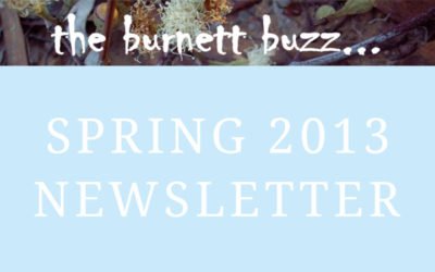the burnett buzz… Spring 2013