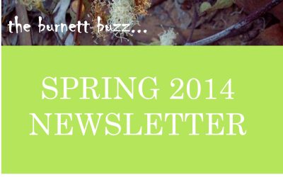 the burnett buzz… Spring 2014