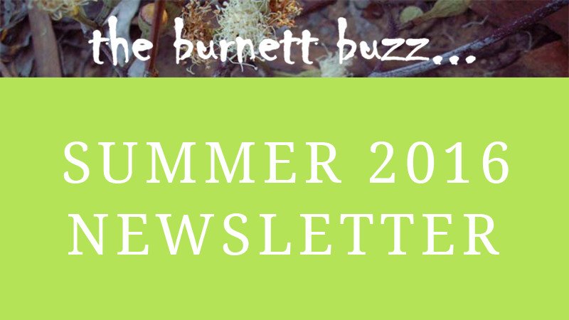 the burnett buzz… Summer 2016