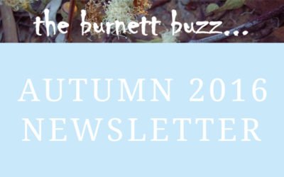 the burnett buzz… Autumn 2016