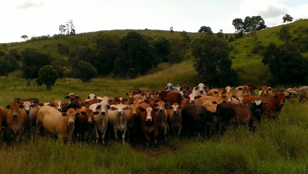 About Us Catchment Care Association