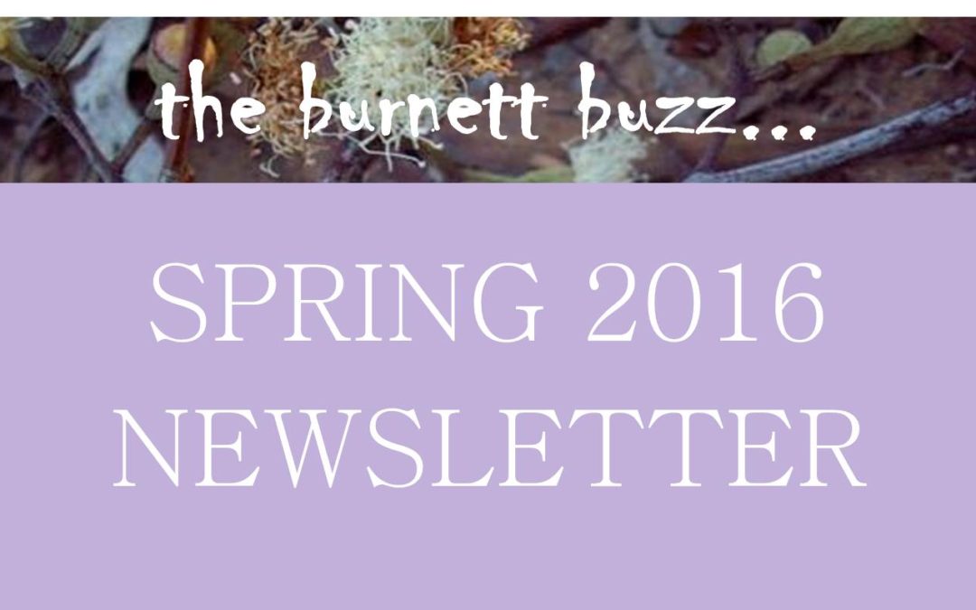 The Burnett Buzz – Spring 2016