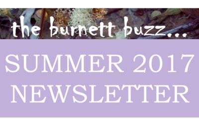 The Burnett Buzz – Summer 2017