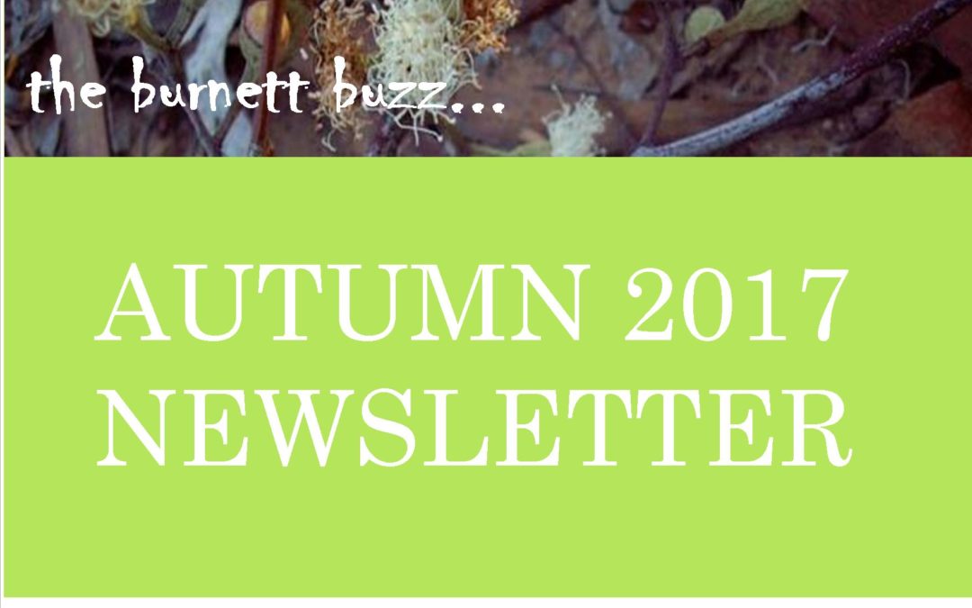 The Burnett Buzz – Autumn 2017