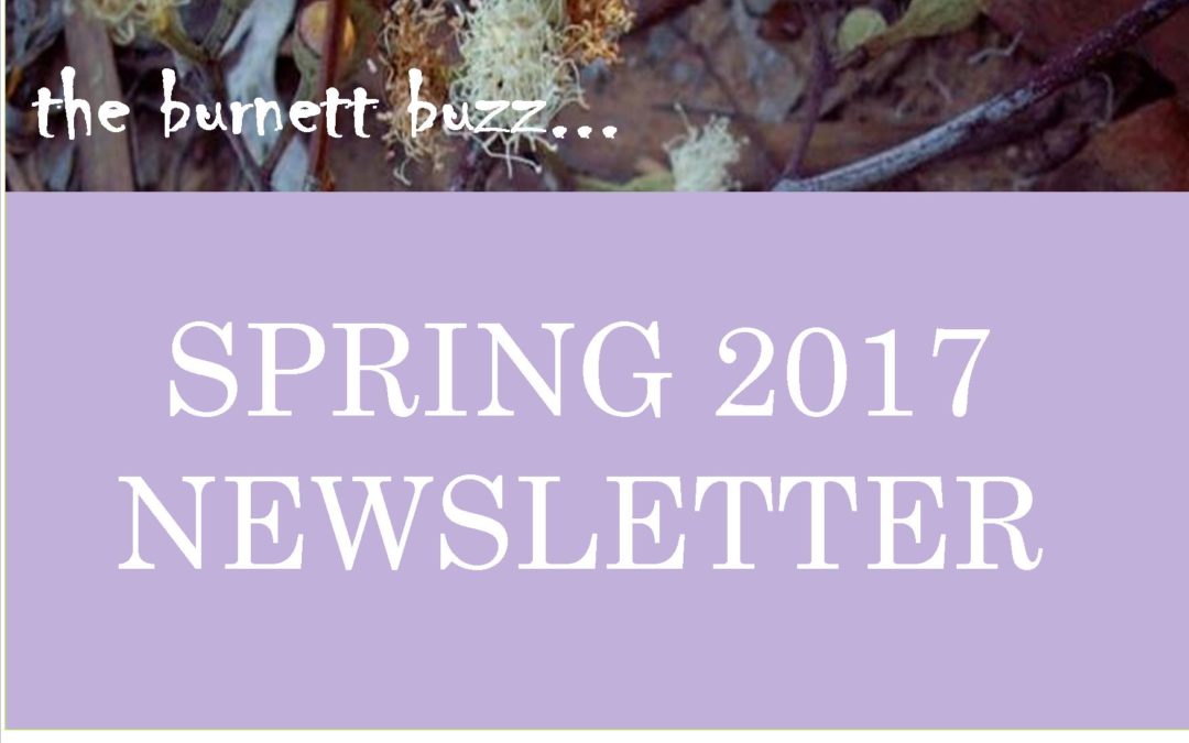 The Burnett Buzz – Spring 2017