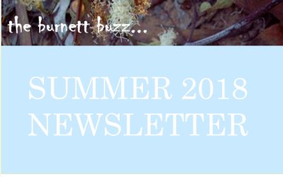 The Burnett Buzz….Summer 2018