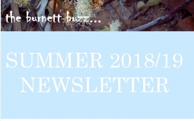 The Burnett Buzz…..Summer 2018/2019