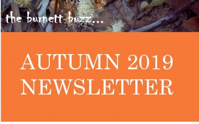 The Burnett Buzz……Autumn 2019