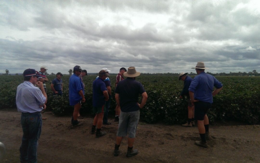 Southern Queensland Cropping bus tour