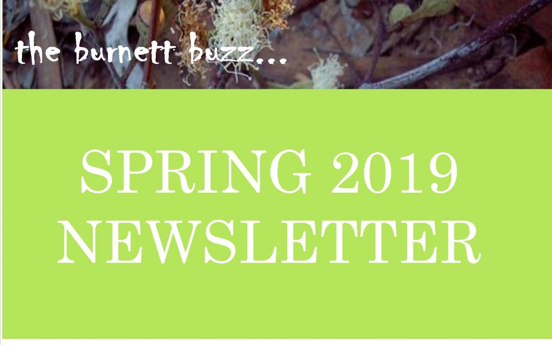 The Burnett Buzz…..Spring 2019
