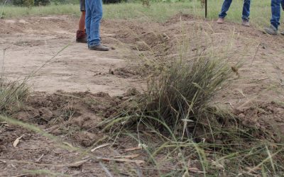 Erosion & Whoa Boy workshop