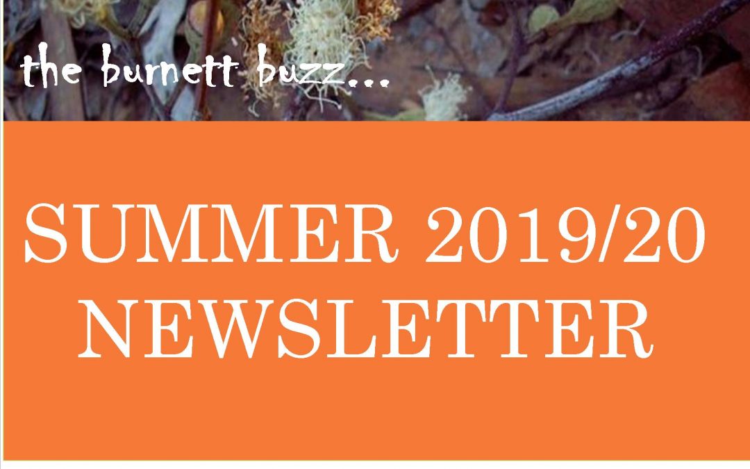 the burnett buzz…Summer 2020