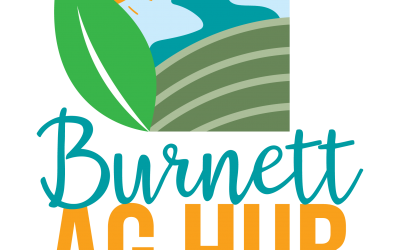 Inland Burnett Hub