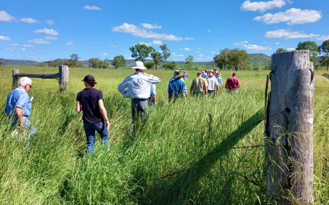 Managing Pasture in a Variable Climate Workshop