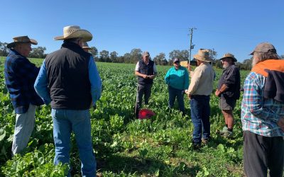 Drought Proofing the Family Farm with John Moor