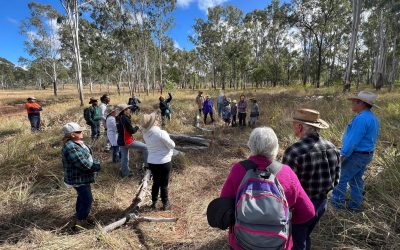 Greater Glider Field Day @ Goondicum Station