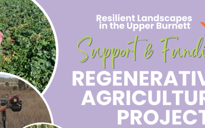 Regenerative Agriculture Projects – Support and Funding