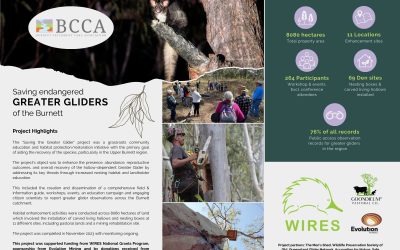 Saving the Greater Glider – Project Highlights