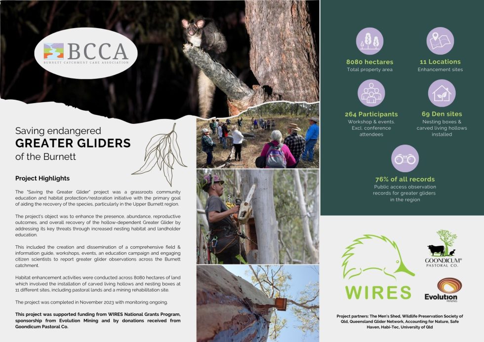 Saving the Greater Glider Project Highlights Catchment Care Association