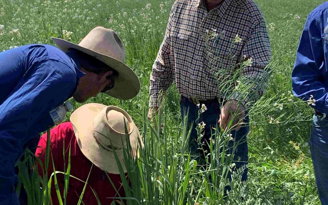 Resilient Landscapes in the Upper Burnett Case Study