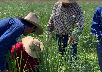 Resilient Landscapes in the Upper Burnett Case Study