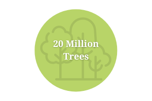 20 Million Trees