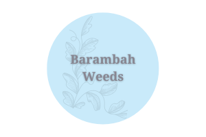 Barambah Weeds