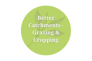 Better Catchments - Grazing & Cropping