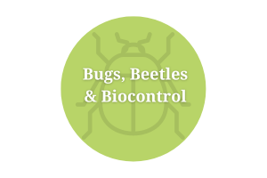 Bugs, Beetles and Biocontrol