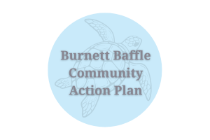 Burnett Baffle Community Action Plan