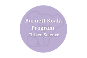 Burnett Koala Program - Citizen Science
