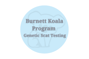 Burnett Koala Program - Genetic Scat Testing