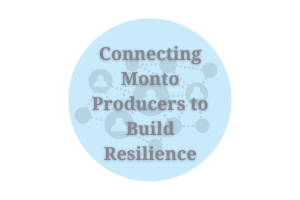 Connecting Monto Producer to Build Resilience