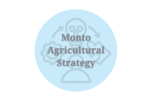 Monto Agricultural Strategy