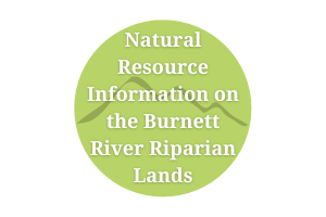 Natural Resource Information on the Burnett River Riparian Lands