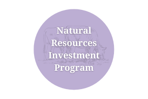 Natural Resources Investment Program