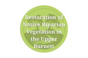 Restoration of Native Riparain Vegetation in the Upper Burnett