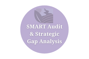 SMART Audit & Strategic Gap Analysis