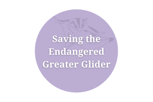 Saving the Endangered Greater Glider