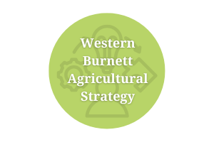 Western Burnett Agricultural Strategy
