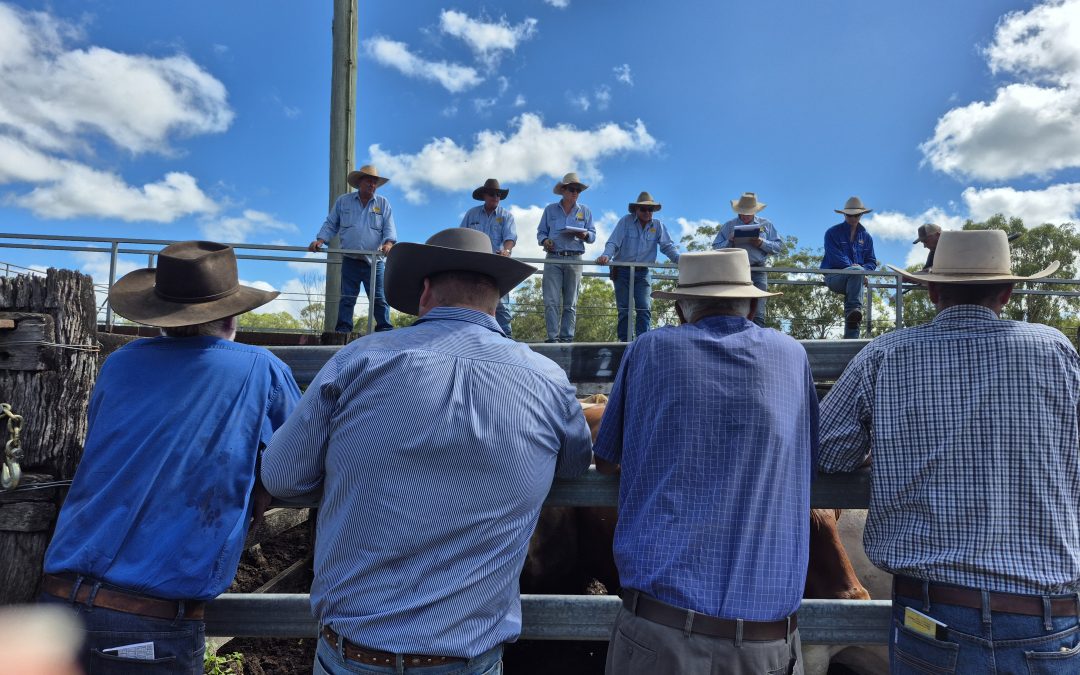 Challenges Facing South Burnett Primary Producers