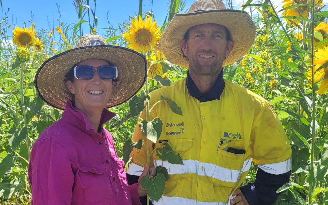 Powering Pastures Case Study